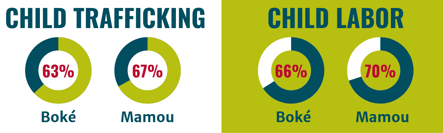 Child Trafficking and Child Labor Rates in Guinea