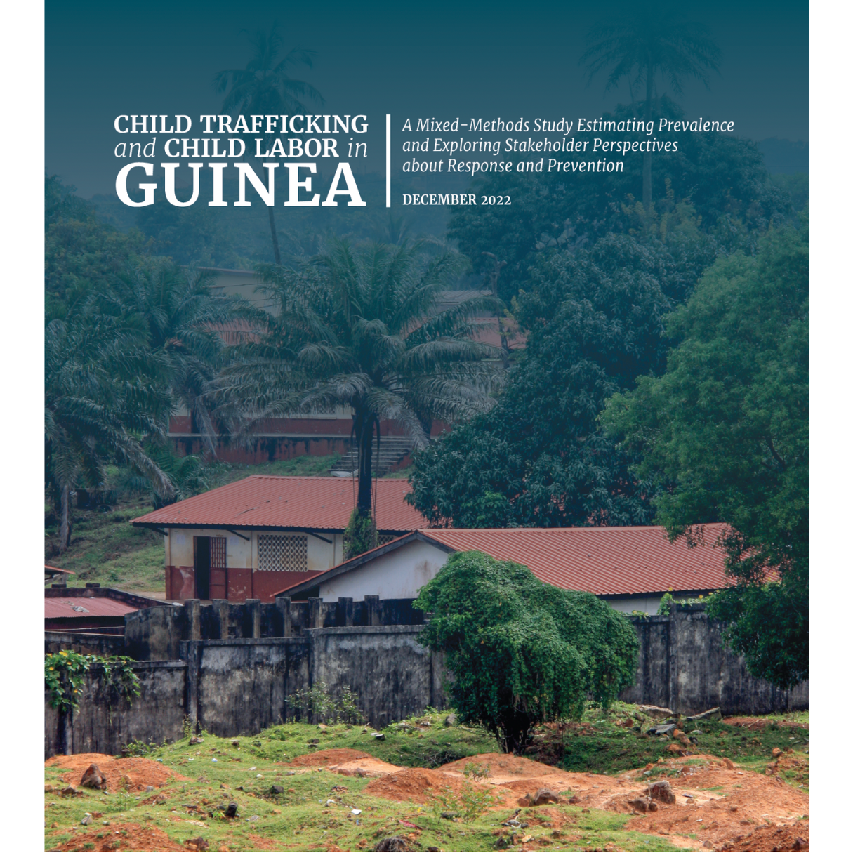 Guinea Baseline Report