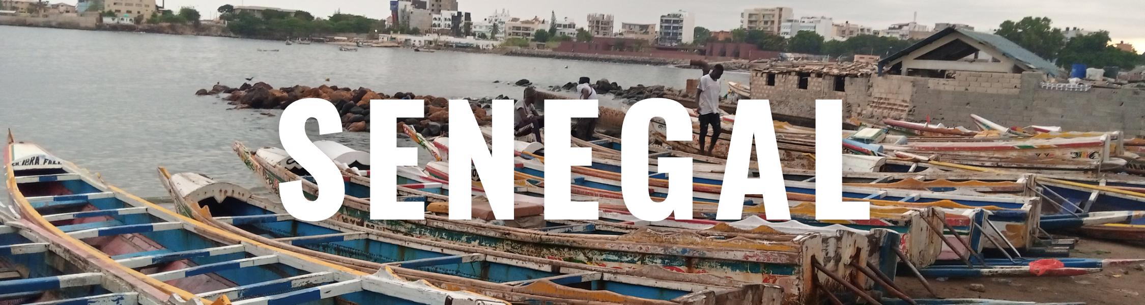 Senegal Page Header Image