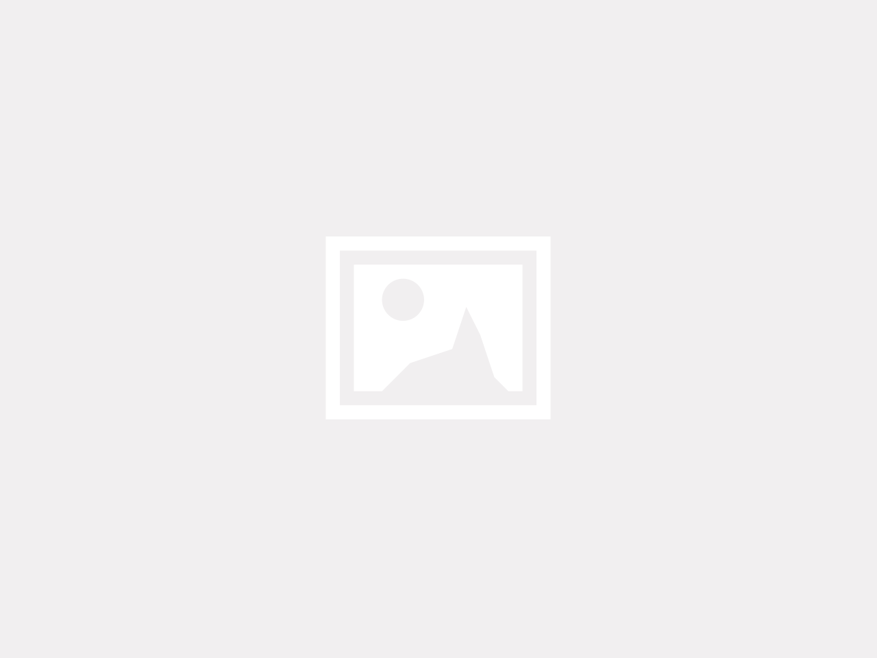 placeholder alt text
