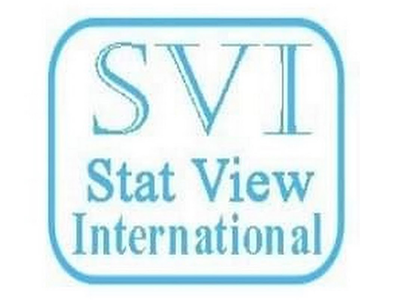Stat View International